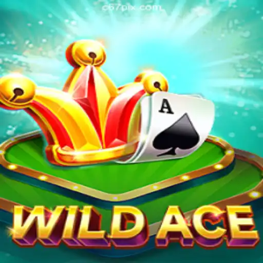 WildAce: Unleashing the Thrill of Online Gaming